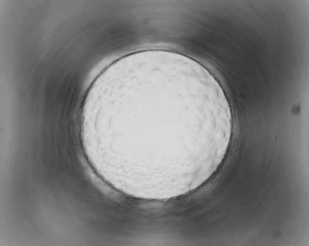 X0000111511054200908251108