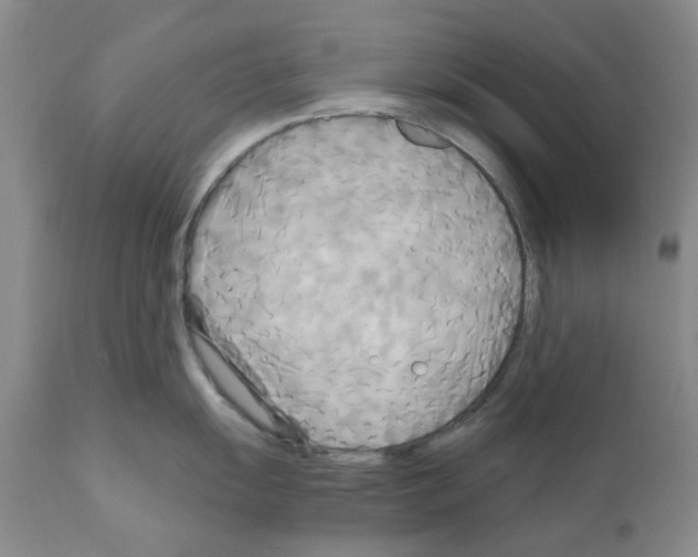 X0000111511055200908251108