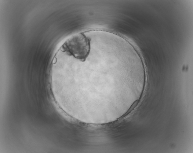 X0000111511056200908251108