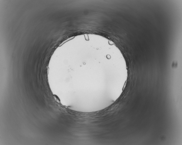 X0000111511057200908251108