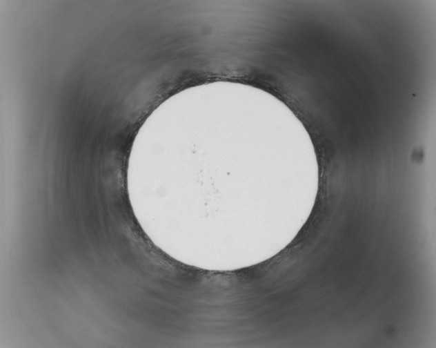 X0000111511058200908251108