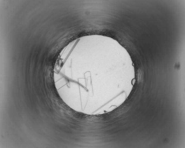X0000111511059200908251108