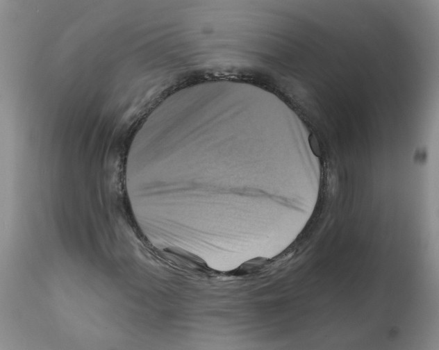 X0000111511060200908251108