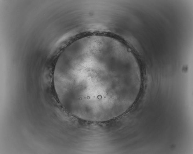 X0000111511063200908251108