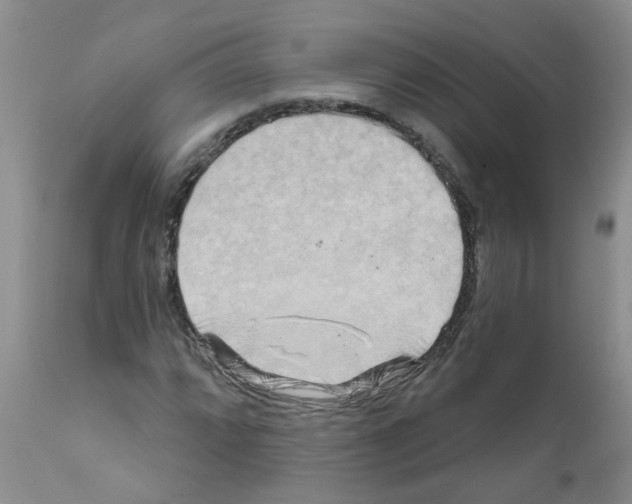 X0000111511064200908251108