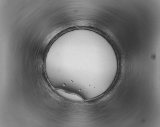X0000111511065200908251108