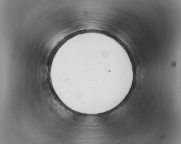 X0000111511067200908251108