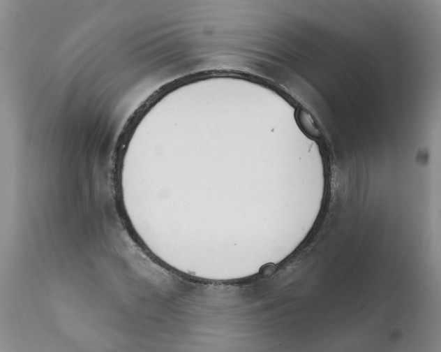X0000111511068200908251108