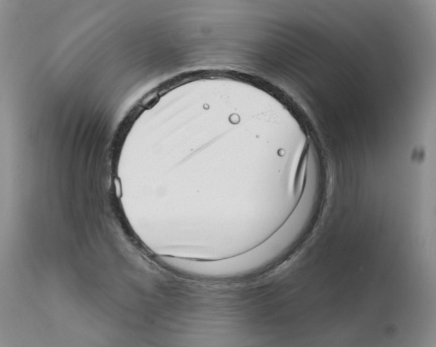 X0000111511069200908251108