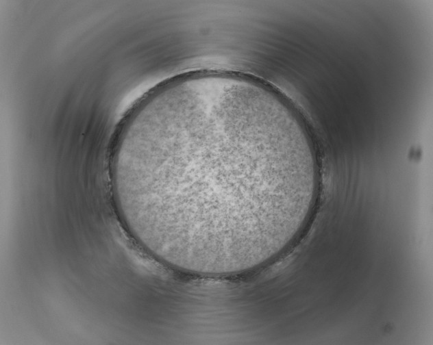 X0000111511070200908251108