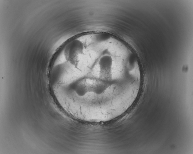 X0000111511071200908251108