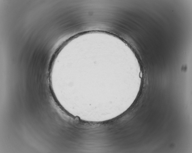 X0000111511072200908251107