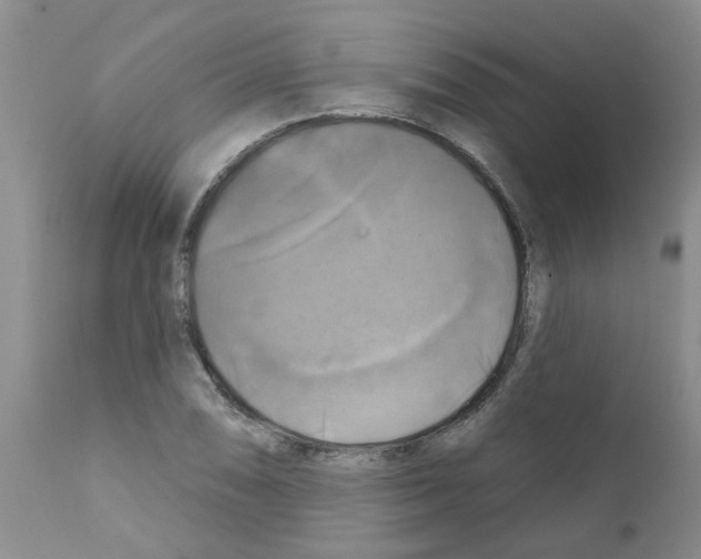 X0000111511074200908251107