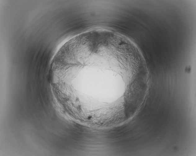X0000111511075200908251107
