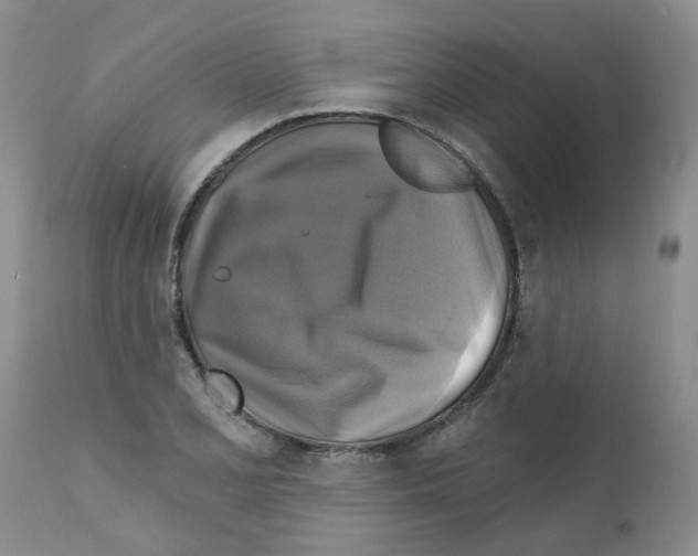 X0000111511077200908251107