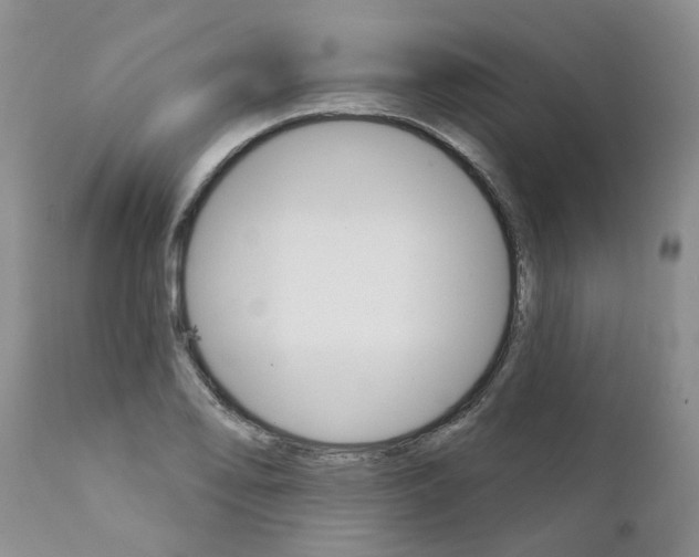 X0000111511078200908251107