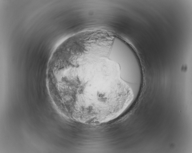 X0000111511079200908251107