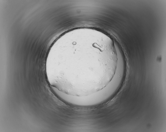 X0000111511081200908251107