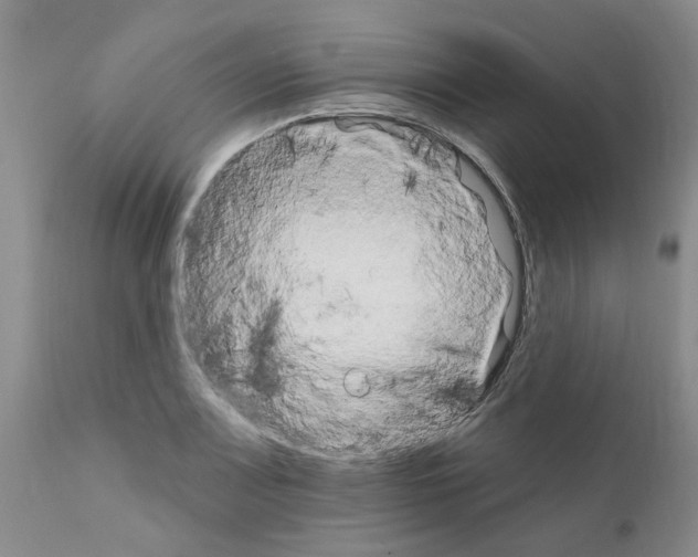 X0000111511083200908251107