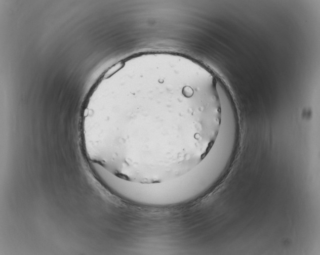 X0000111511085200908251107