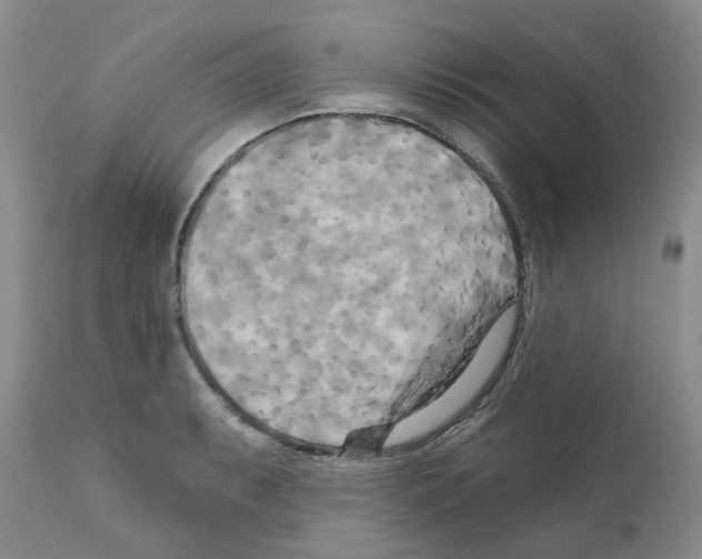 X0000111511087200908251107