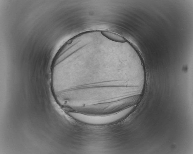 X0000111511088200908251107