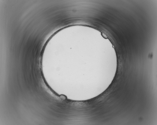 X0000111511092200908251107