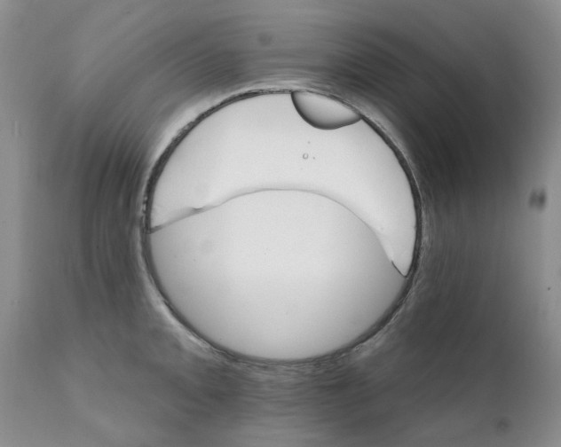 X0000111511093200908251107