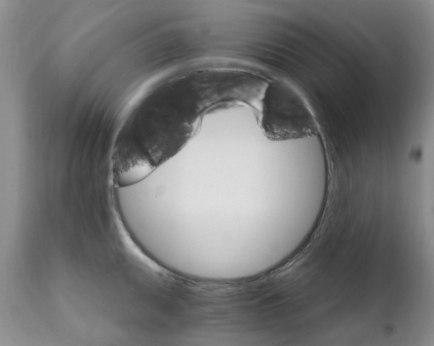 X0000111511095200908251107