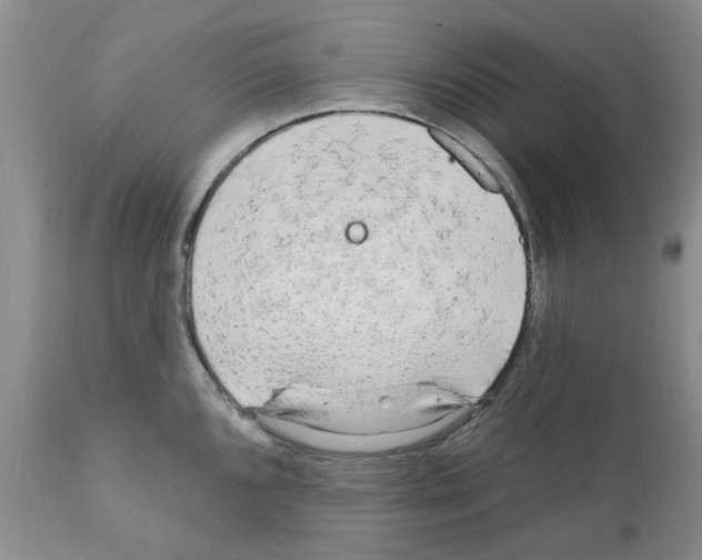 X0000111511096200908251107