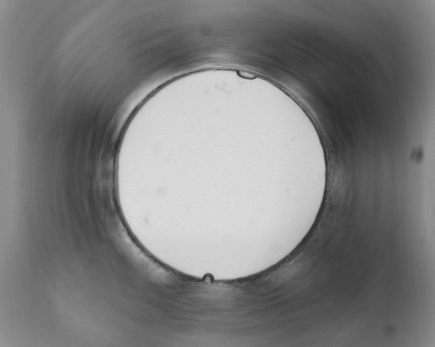 X0000111511100200908251107