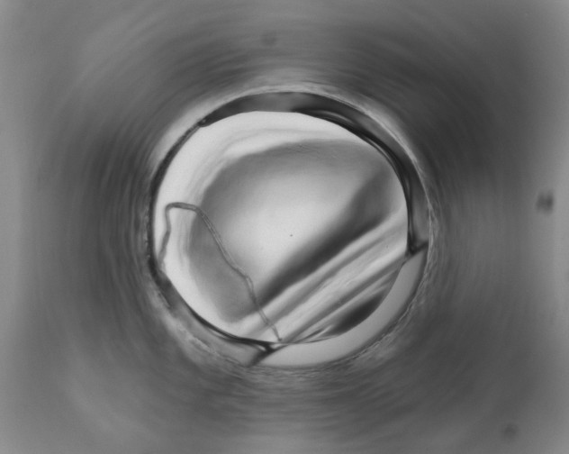 X0000111511101200908251107