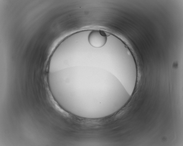X0000111511102200908251107