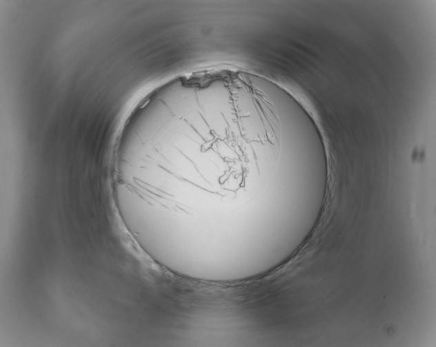 X0000111511104200908251107