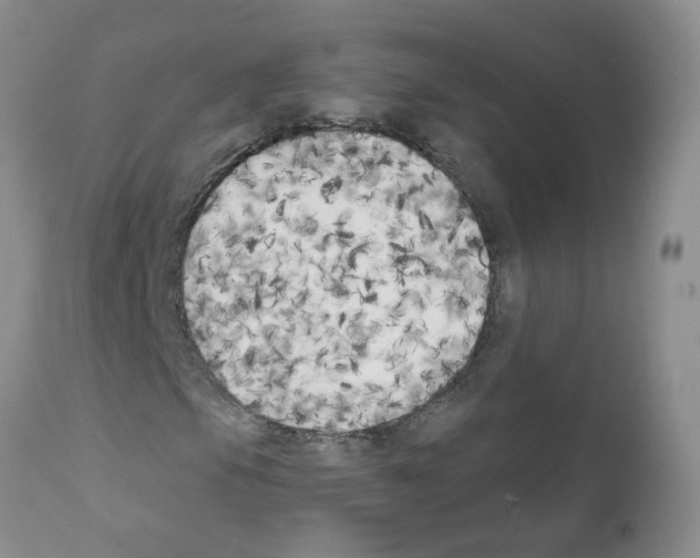 X0000111511105200908251106