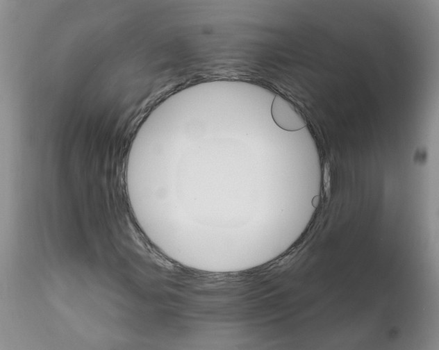 X0000111511107200908251106