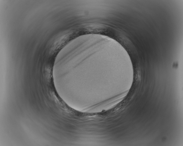 X0000111511108200908251106