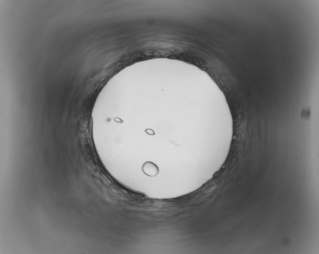 X0000111511109200908251106