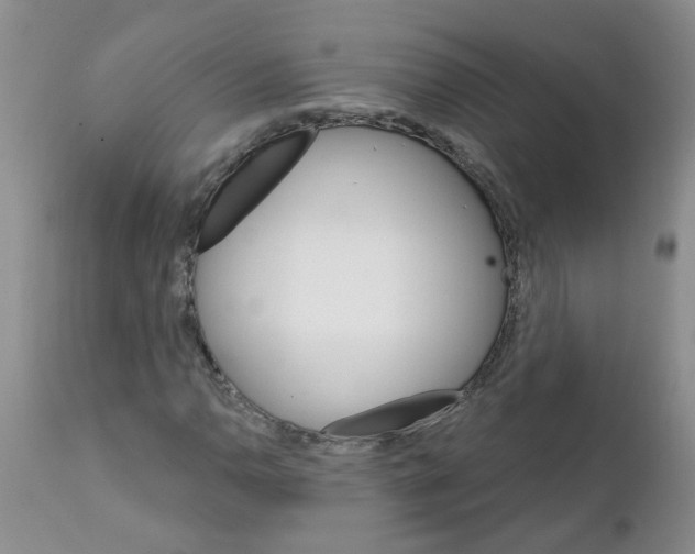 X0000111511110200908251106