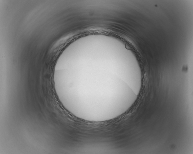 X0000111511111200908251106