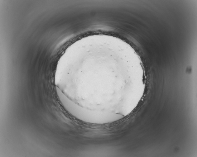 X0000111511112200908251106