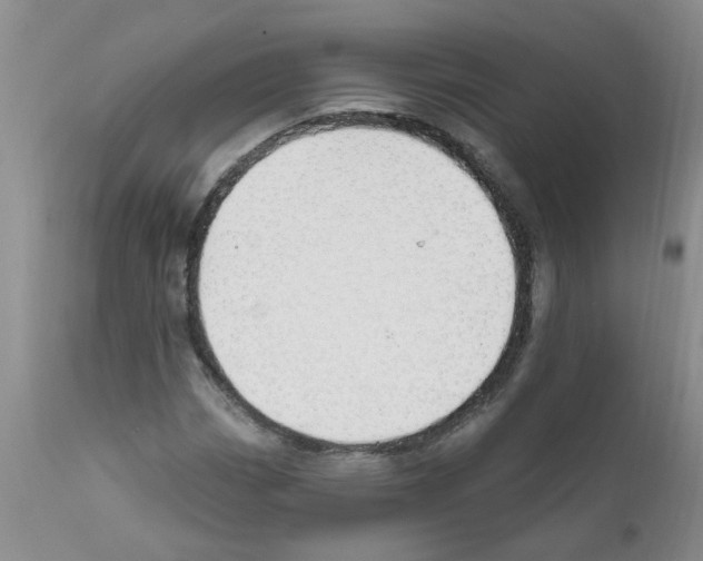 X0000111511113200908251106