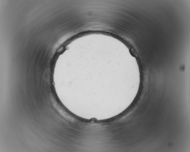 X0000111511114200908251107