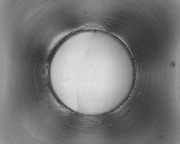 X0000111511115200908251107