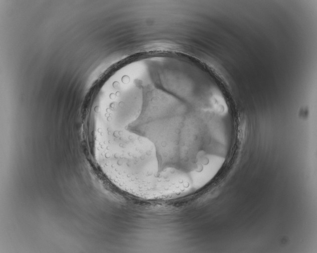 X0000111511117200908251107