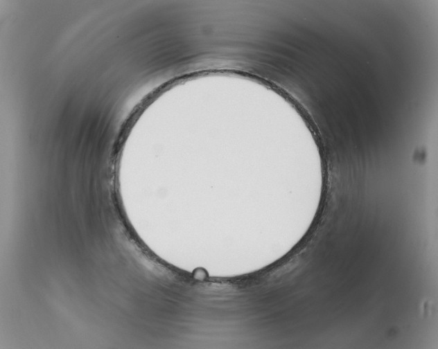 X0000111511119200908251107