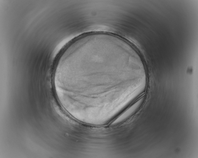 X0000111511120200908251107