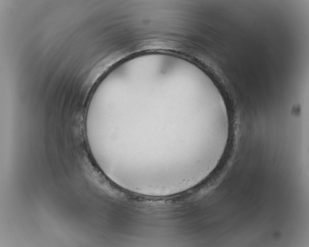 X0000111511121200908251107