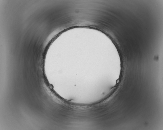 X0000111511122200908251107