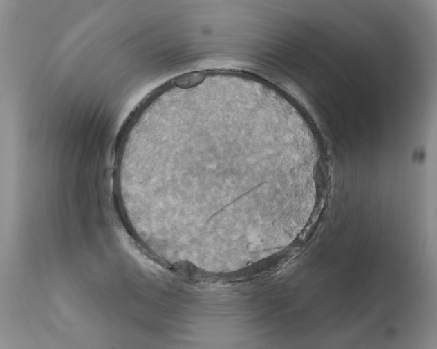 X0000111511124200908251107